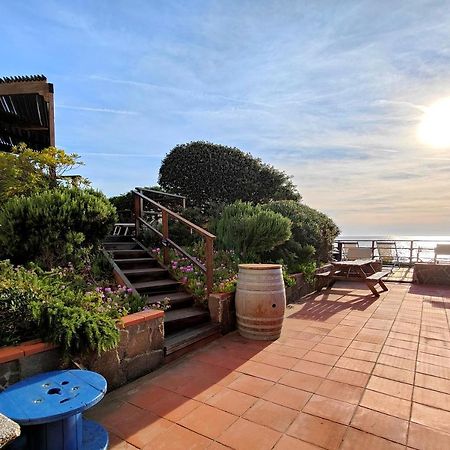 Le Dune Sea View Apartments - Futura Cav San Vincenzo Buitenkant foto